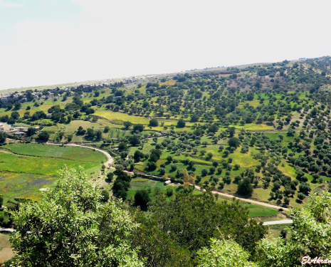 &copy; &copy; panoramio / elakramine, http://www.panoramio.com/user/831427