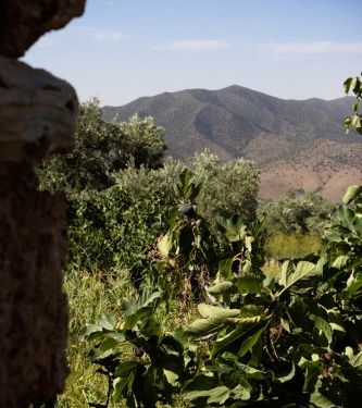 &copy; &copy; discoveringtaourirt.com / Discovering Berkane, Agence de l'Oriental / Discovering Oujda, Agence de l'Oriental