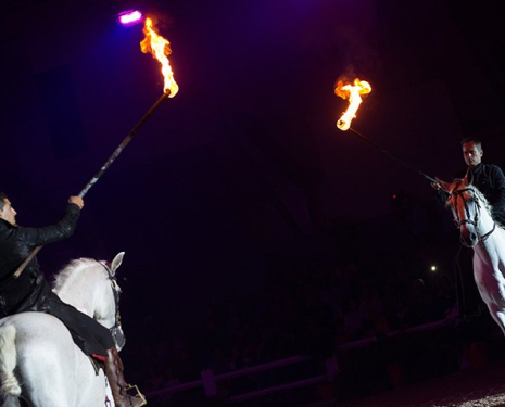 &copy; &copy; Salon du Cheval / Association du Salon du Cheval