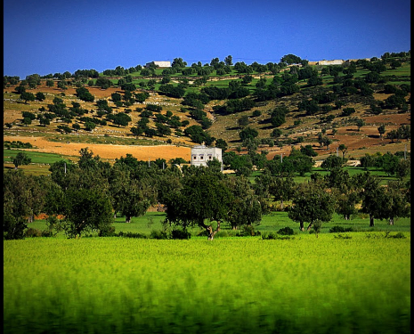 &copy; &copy; panoramio / laug, http://www.panoramio.com/user/2031787