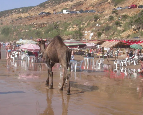 &copy; &copy; panoramio / Sathy, http://www.panoramio.com/user/4123738