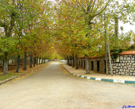 &copy; &copy; panoramio / elakramine, http://www.panoramio.com/user/831427