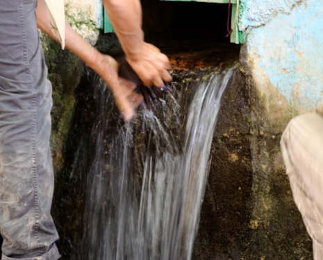 &copy; &copy; discoveringtaourirt.com / Discovering Berkane, Agence de l'Oriental / Discovering Oujda, Agence de l'Oriental