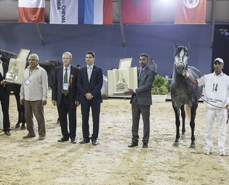 &copy; &copy; Salon du Cheval / Association du Salon du Cheval