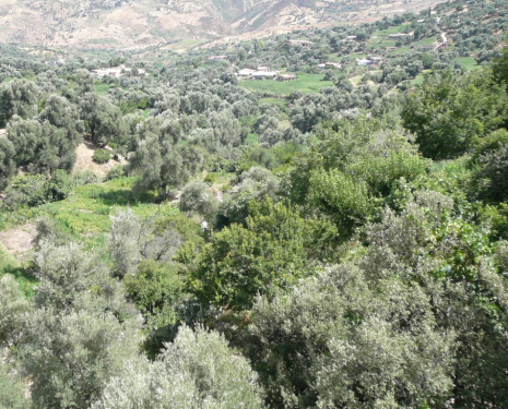 &copy; &copy; panoramio / Miguel del Rif, http://www.panoramio.com/user/3425708