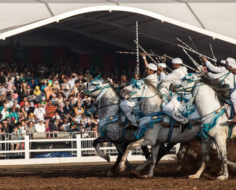 &copy; &copy; Salon du Cheval / Association du Salon du Cheval