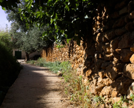 &copy; &copy; discoveringtaourirt.com / Discovering Berkane, Agence de l'Oriental / Discovering Oujda, Agence de l'Oriental