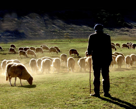 &copy; &copy; panoramio / ssSUH, http://www.panoramio.com/user/478232