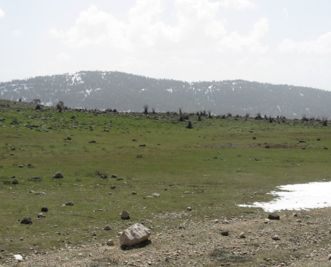 &copy; &copy; panoramio / elakramine, http://www.panoramio.com/user/831427