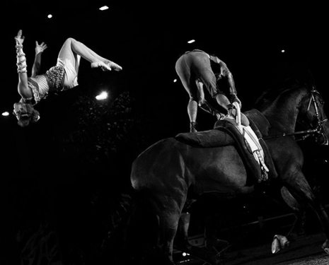 &copy; &copy; Salon du Cheval / Association du Salon du Cheval