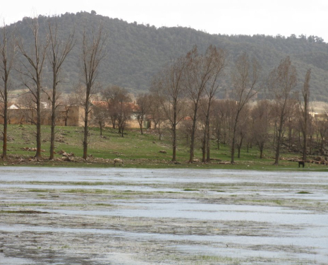 &copy; &copy; panoramio / elakramine, http://www.panoramio.com/user/831427