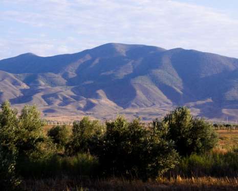 &copy; &copy; discoveringdriouch.com / Discovering Berkane, Agence de l'Oriental / Discovering Driouch, Agence de l'Oriental