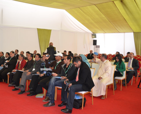 &copy; &copy; festivalamandiers.ma / Association Louz Tafraout, festivalamandiers.ma