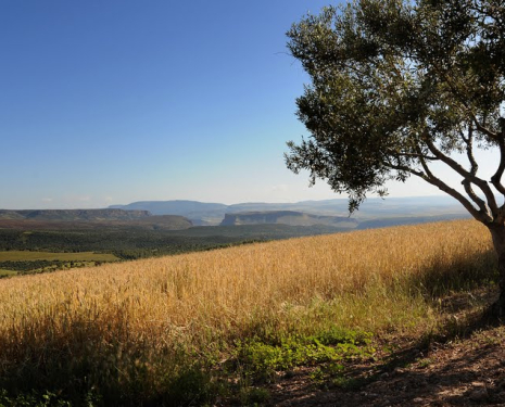 &copy; &copy; panoramio / Laszlo Koza, http://www.panoramio.com/user/2653600