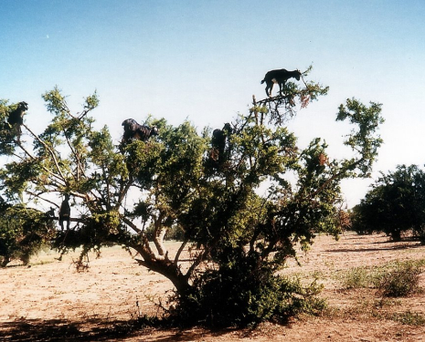 &copy; &copy; panoramio / Daniel.Bisson, http://www.panoramio.com/user/1961862