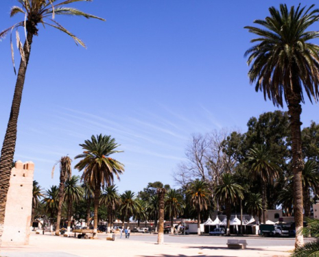 &copy; &copy; discoveringberkane.com / Discovering Berkane, Agence de l'Oriental