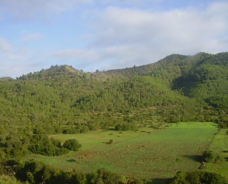 &copy; &copy; panoramio / elakramine, http://www.panoramio.com/user/831427