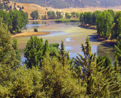 &copy; &copy; panoramio / Miguel Jaramillo, http://www.panoramio.com/user/1547114