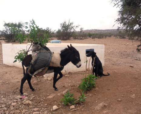 &copy; &copy; panoramio / Jesús Municio, http://www.panoramio.com/user/2252408