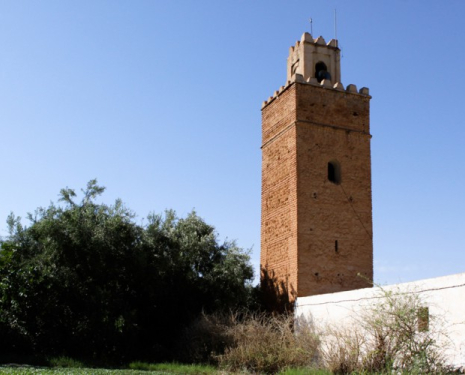&copy; &copy; discoveringtaourirt.com / Discovering Berkane, Agence de l'Oriental / Discovering Oujda, Agence de l'Oriental