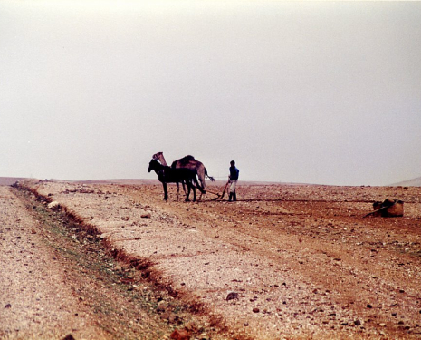 &copy; &copy; panoramio / Martin Parker, http://www.panoramio.com/user/90742