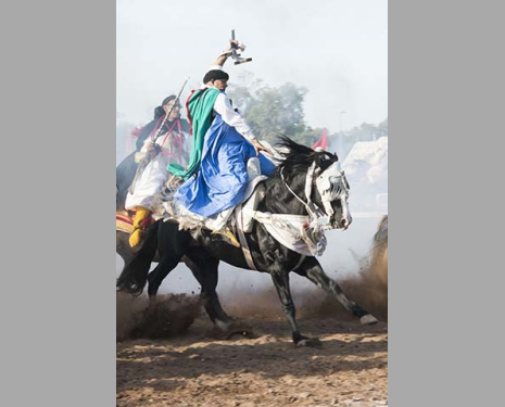 &copy; &copy; Salon du Cheval / Association du Salon du Cheval