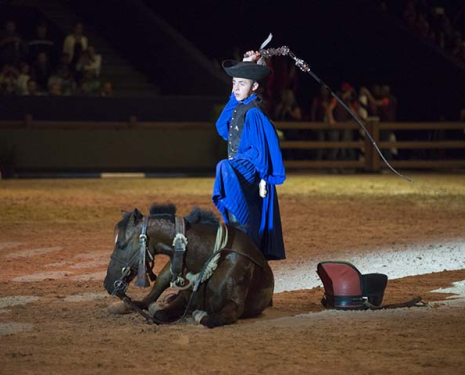 &copy; &copy; Salon du Cheval / Association du Salon du Cheval