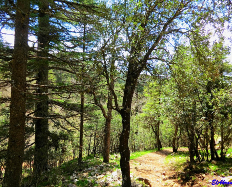 &copy; &copy; panoramio / elakramine, http://www.panoramio.com/user/831427