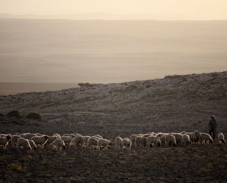 &copy; &copy; panoramio / C.'s Augenweide, http://www.panoramio.com/user/584355