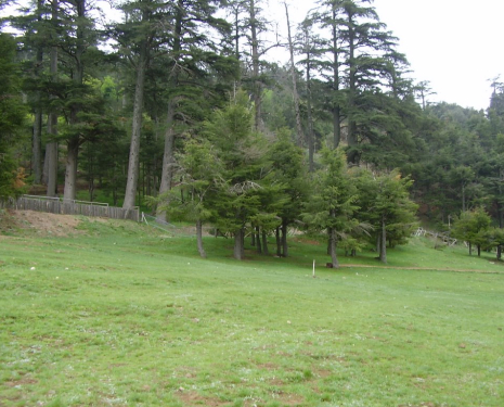 &copy; &copy; panoramio / elakramine, http://www.panoramio.com/user/831427