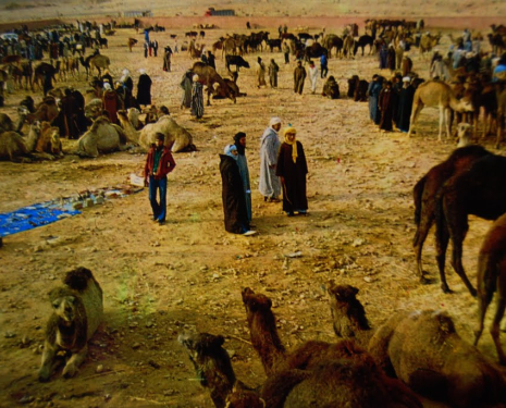 &copy; &copy; panoramio / il medico, http://www.panoramio.com/user/4169077