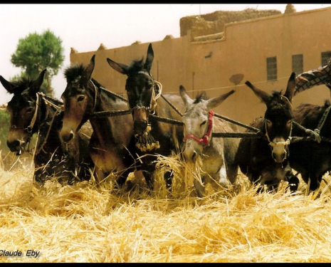 &copy; &copy; panoramio / JC EBY ©, http://www.panoramio.com/user/1665272