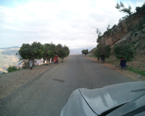 &copy; &copy; panoramio / òyó, http://www.panoramio.com/user/484928