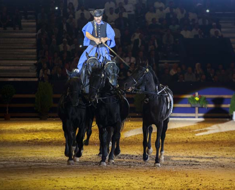 &copy; &copy; Salon du Cheval / Association du Salon du Cheval