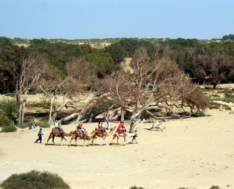 &copy; &copy; panoramio / Reni & Krisz, http://www.panoramio.com/user/1209703