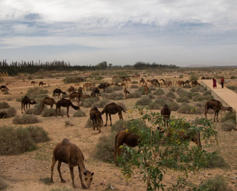 &copy; &copy; panoramio / Christopher Phillips, http://www.panoramio.com/user/599368