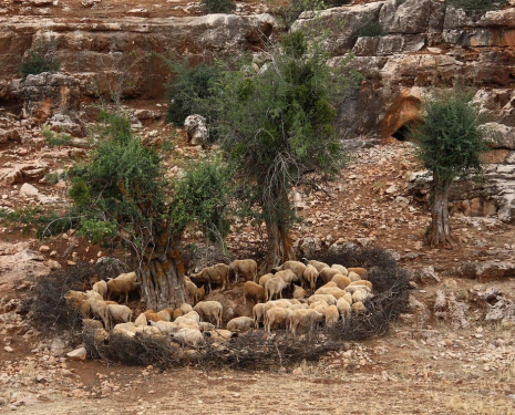 &copy; &copy; panoramio / C.'s Augenweide, http://www.panoramio.com/user/584355