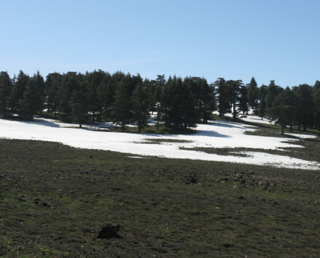 &copy; &copy; panoramio / elakramine, http://www.panoramio.com/user/831427