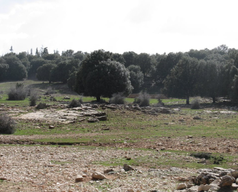 &copy; &copy; panoramio / elakramine, http://www.panoramio.com/user/831427