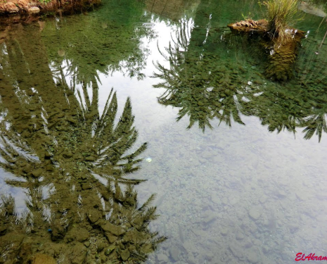 &copy; &copy; panoramio / elakramine, http://www.panoramio.com/user/831427