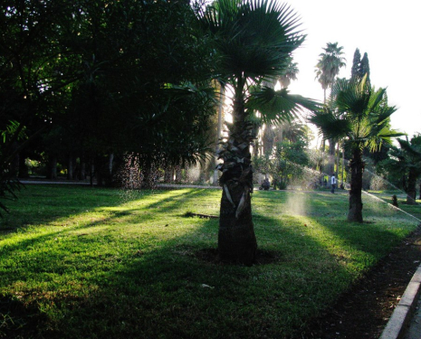 &copy; &copy; oriental.ma / Agence de l'Oriental / L'agence de l'Oriental