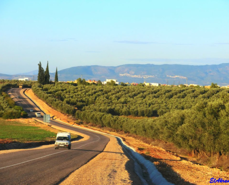 &copy; &copy; panoramio / elakramine, http://www.panoramio.com/user/831427