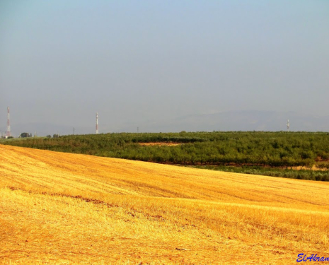 &copy; &copy; panoramio / elakramine, http://www.panoramio.com/user/831427