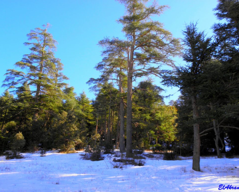 &copy; &copy; panoramio / elakramine, http://www.panoramio.com/user/831427