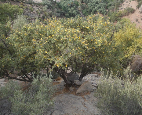 &copy; &copy; panoramio / vom Thüringer, http://www.panoramio.com/user/2742393