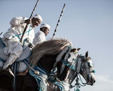 &copy; &copy; Salon du Cheval / Association du Salon du Cheval