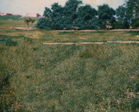 &copy; &copy; panoramio / abou yasser el kanouni, http://www.panoramio.com/user/4225036