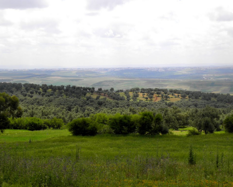 &copy; &copy; panoramio / elakramine, http://www.panoramio.com/user/831427