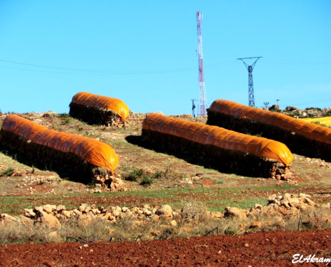 &copy; &copy; panoramio / elakramine, http://www.panoramio.com/user/831427