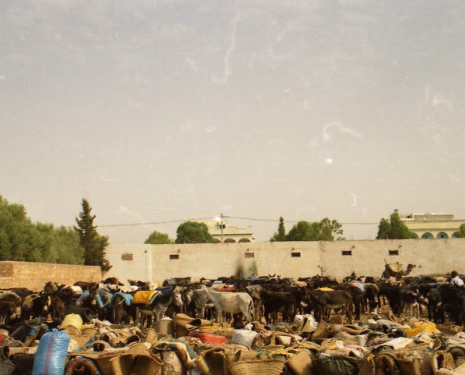 &copy; &copy; panoramio / L.kebir, http://www.panoramio.com/user/1867549